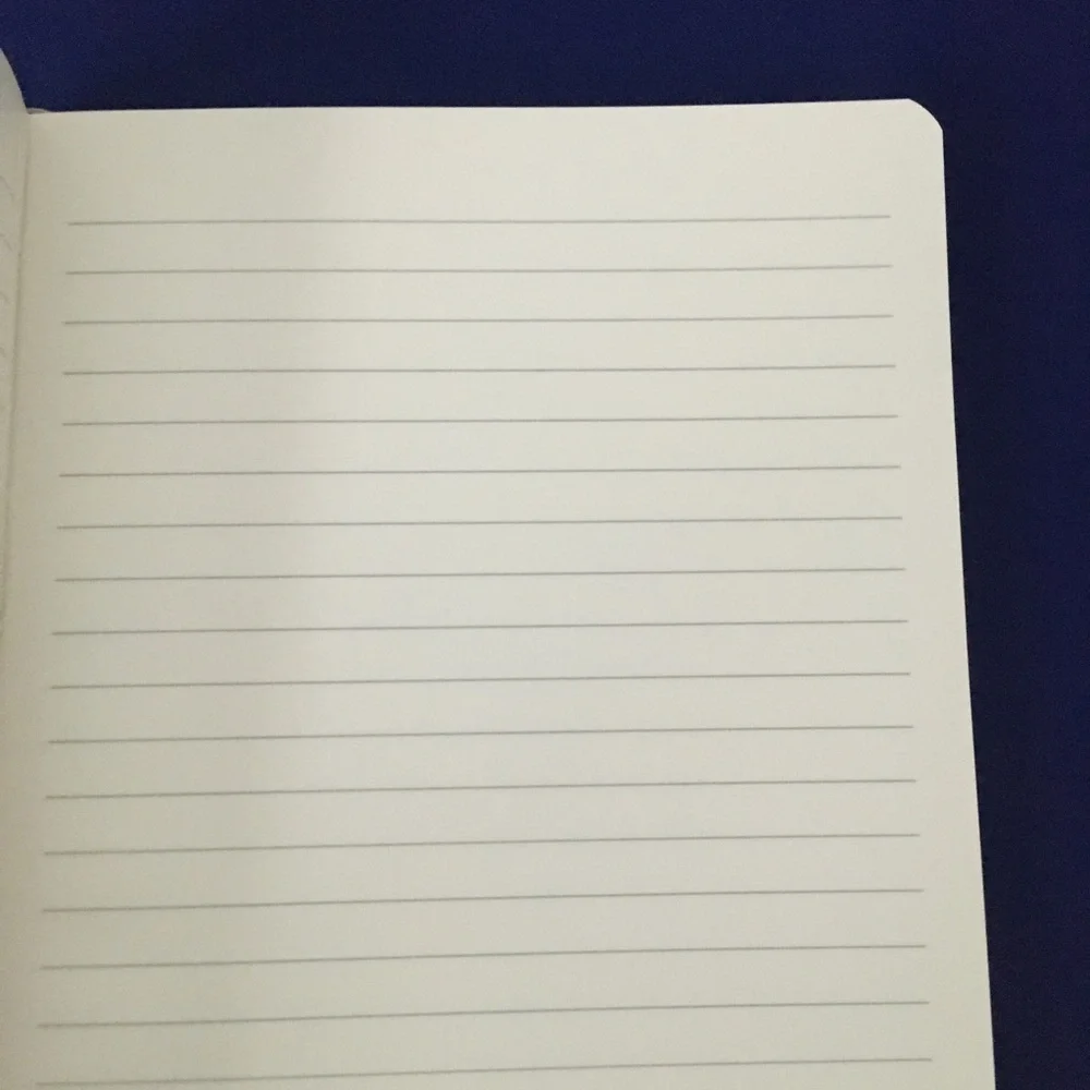 Iridescent Vegan Leather Notebook